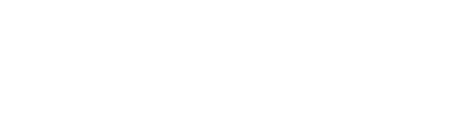 Orion